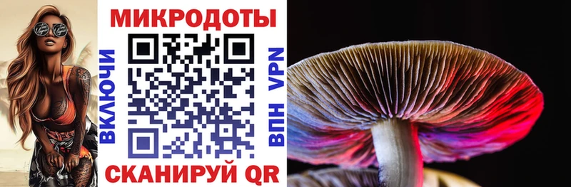 Псилоцибиновые грибы прущие грибы  Абдулино 